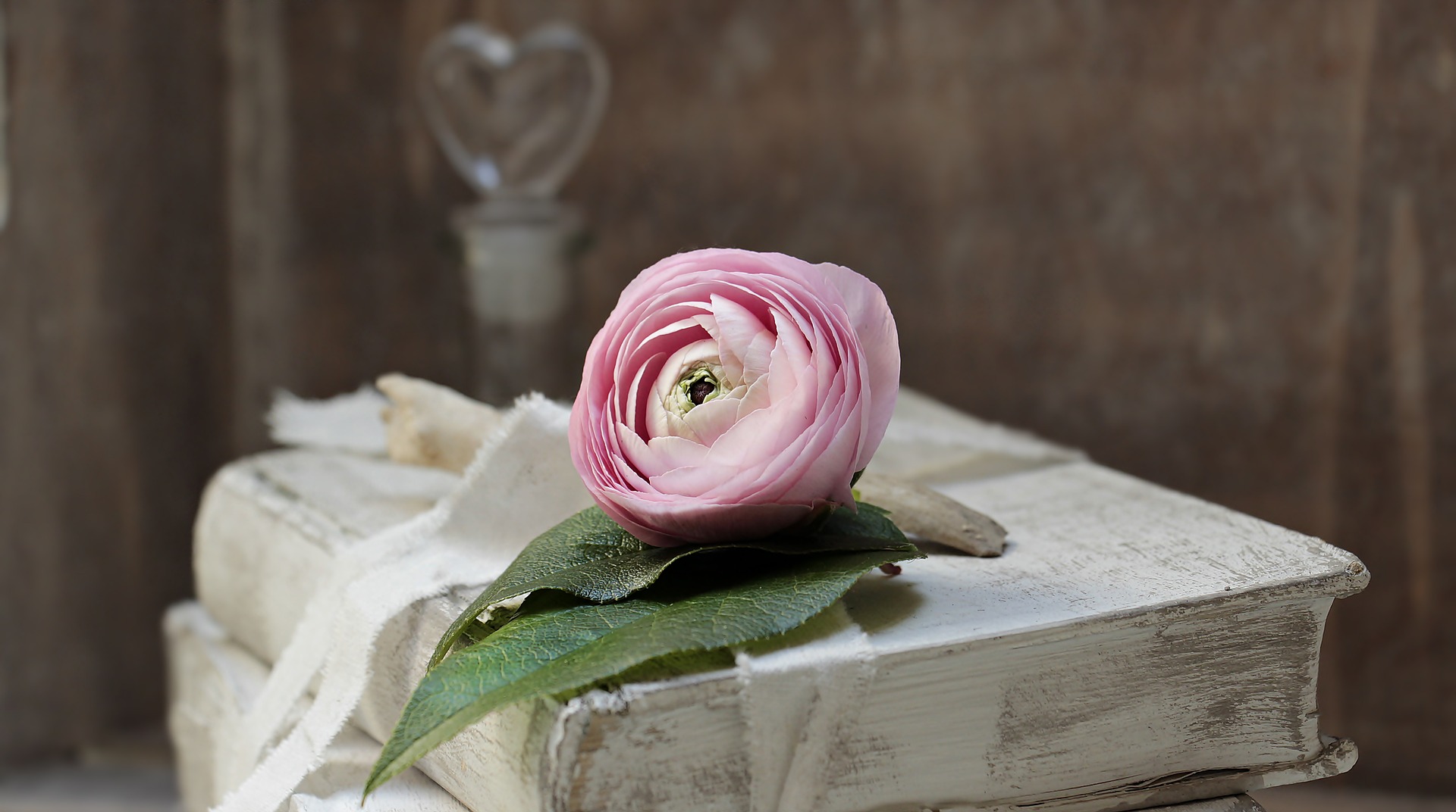 livre ancien avec une rose